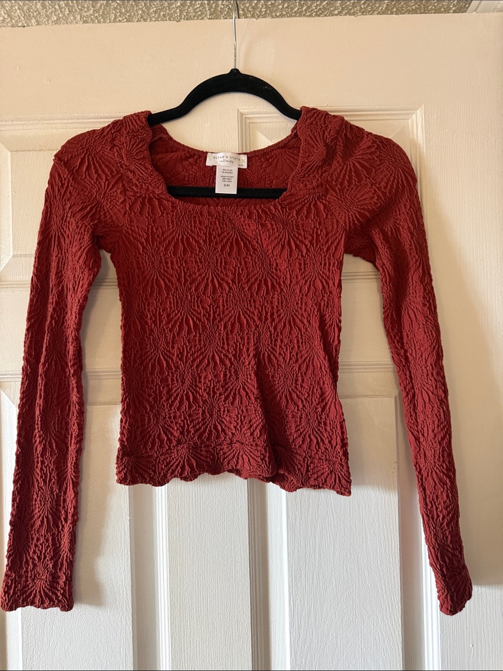 Altar'd State Textured Scoop Neck Long-Sleeve Top - Rust